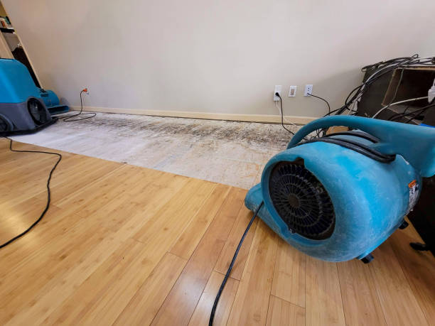 Professional Water Damage Repair technician working in Dalzell, SC